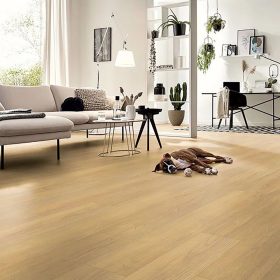   Kronotex Standard Plus Laminált padló, Természetes Tölgy harmat, 8 mm