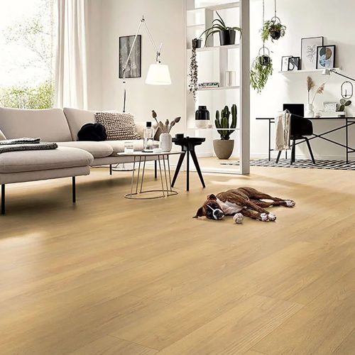 Kronotex Standard Plus Laminált padló, Természetes Tölgy harmat, 8 mm