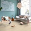 Kronotex Exquisit D80732 Laminált padló, Amerigo, 8 mm
