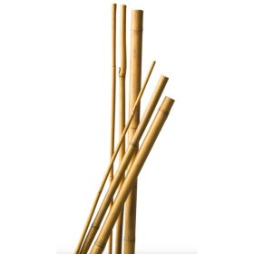 Bambusz növénytámasz 10db, átmérő 6-8 mm, 60cm natúr