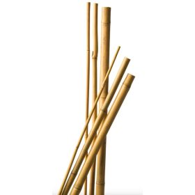   Bambusz növénytámasz 3 db, átmérő 16-18mm, 210 cm natúr