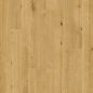   Unilin XPERT PRO Best vízálló Laminált padló, CLASSIC AQUA, Boston Oak  8 mm, 1 sávos